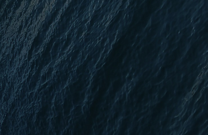 Disorder – Album Surf