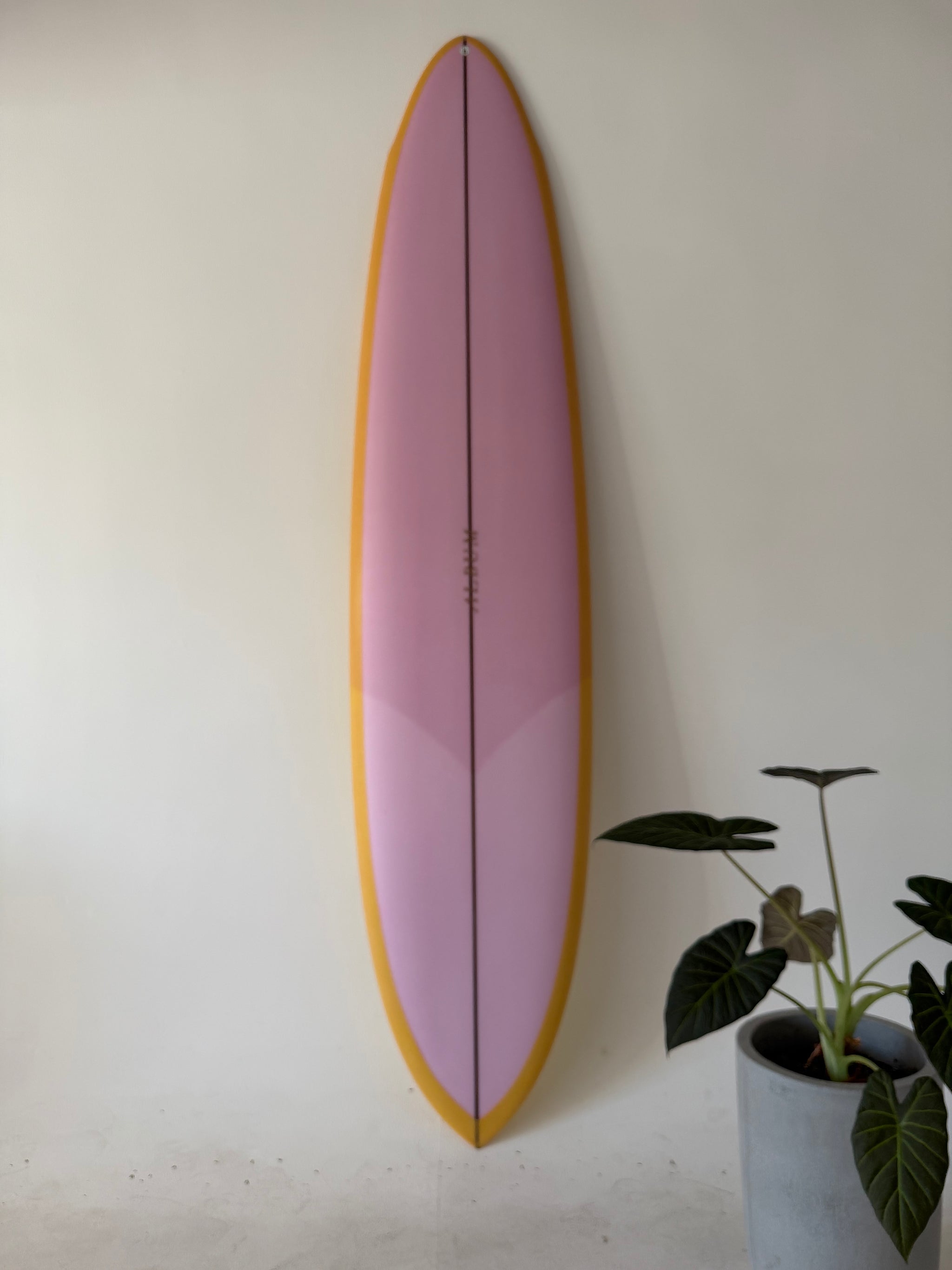 Album Surf