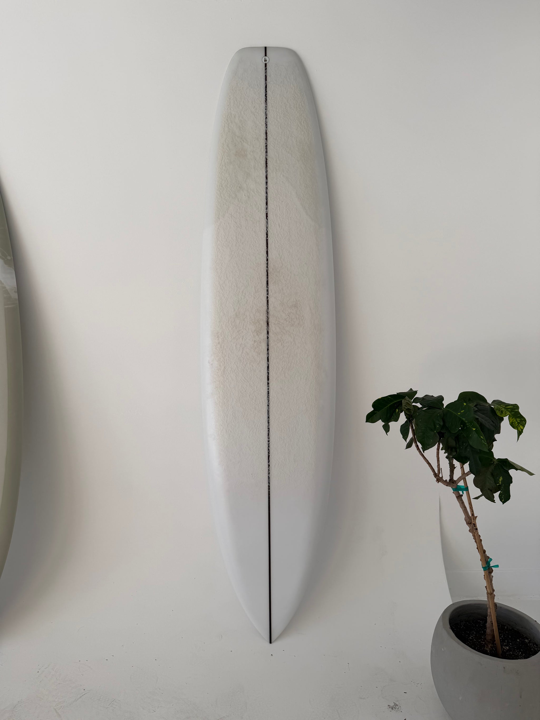 Symphony Model – Album Surf